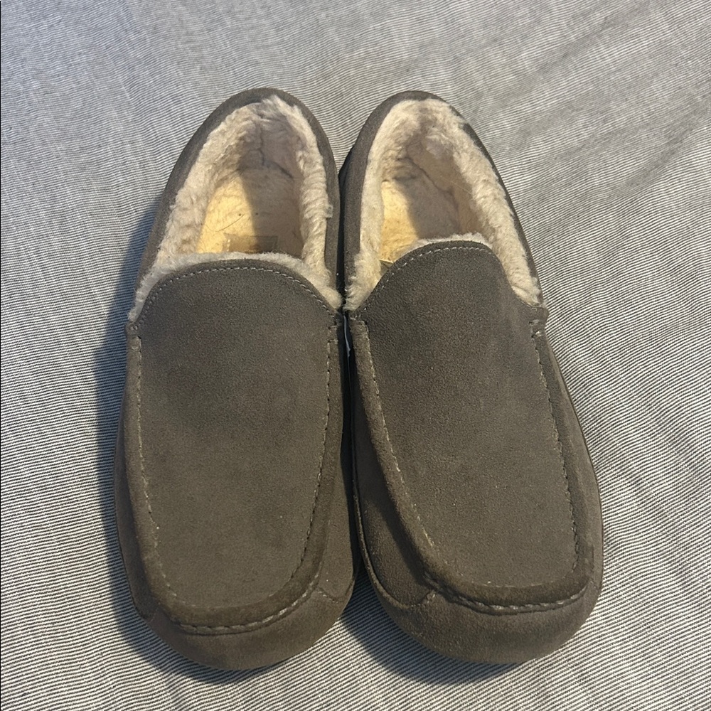 Men's gray Ugg Slippers
